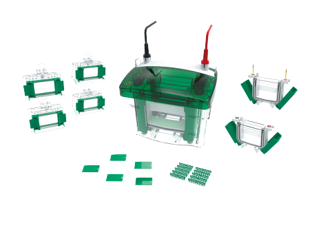 SINSAGE Professional Electrophoresis Overall Solution