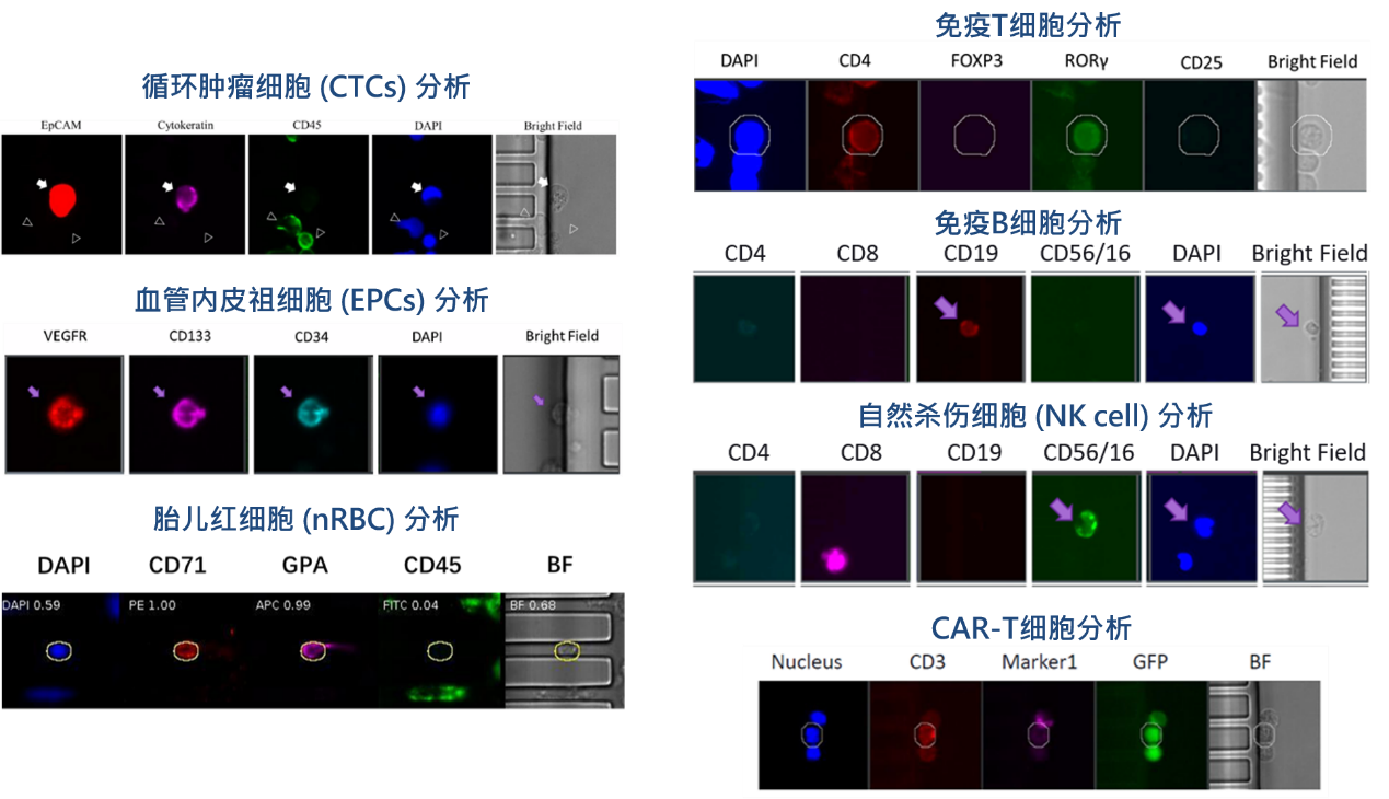 1、各类稀有细胞检测分析.png