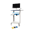 Fluorescence In Vivo Endomicroscope 2nd generation