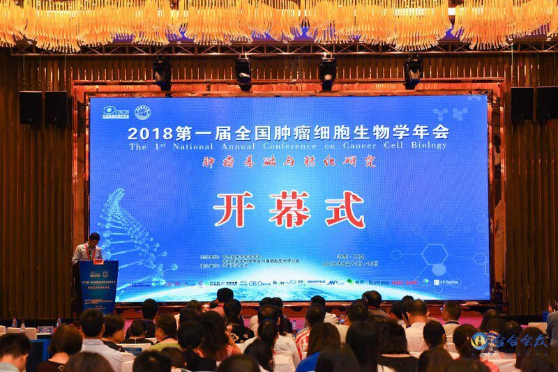QQ图片20180815150049.jpg