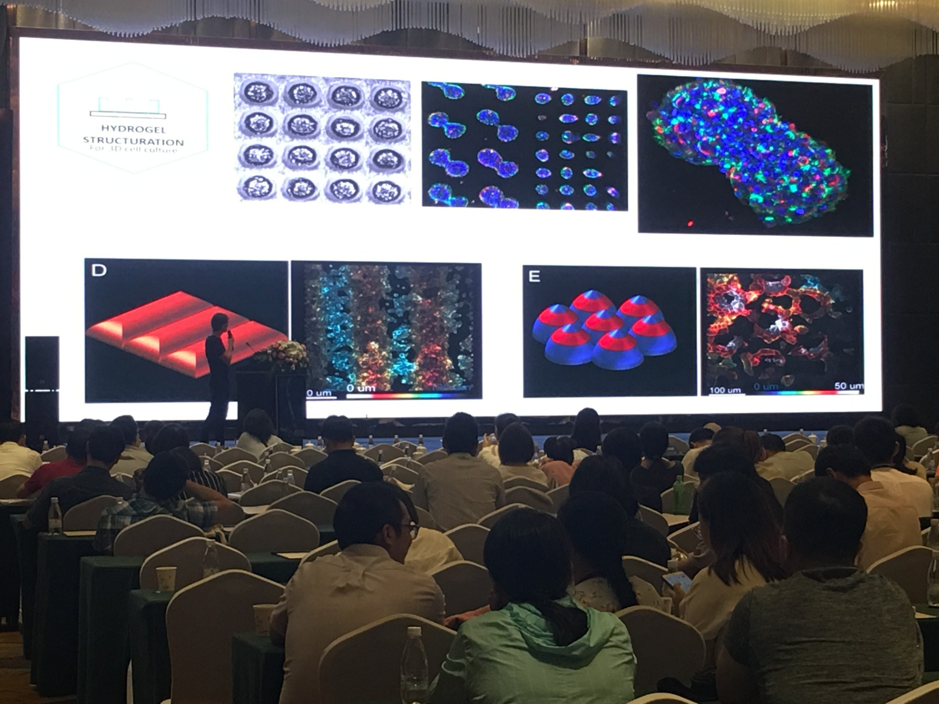微信图片_20190724150122.jpg
