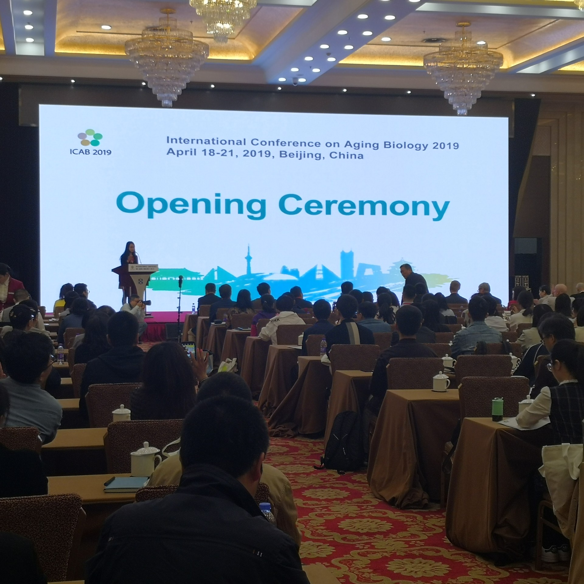 微信图片_20190425164210.jpg