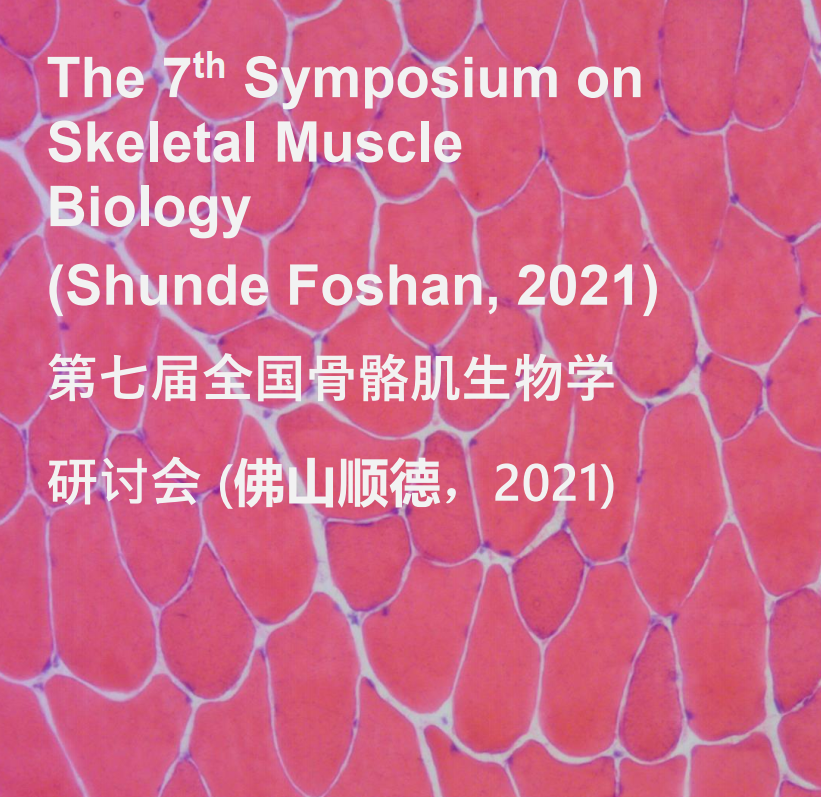 QQ截图20211207095055.png