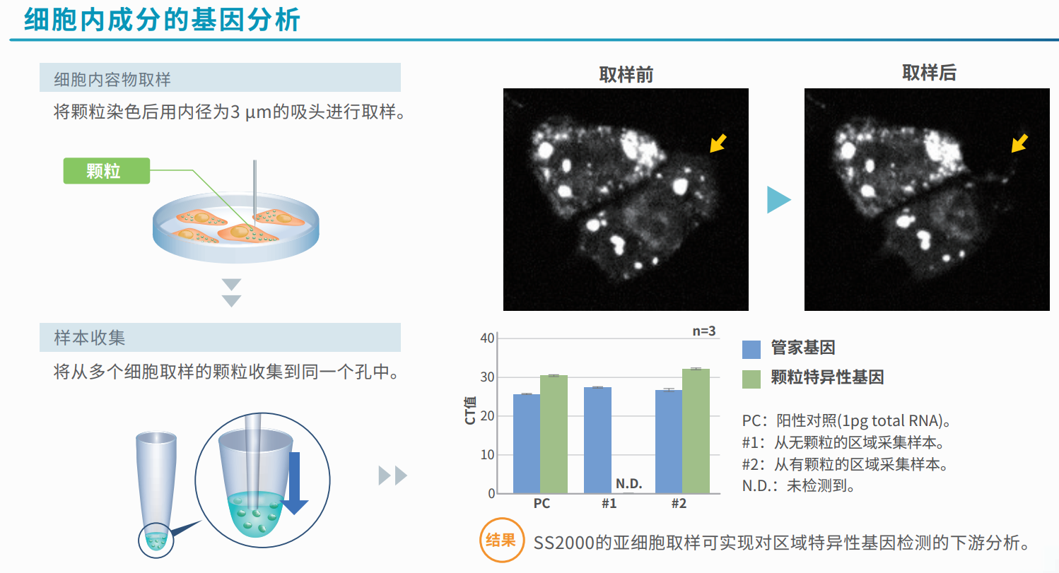 细胞内成分的基因分析.png