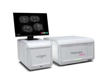 MERSCOPE 大视野超高分辨单细胞原位空间组学分析系统